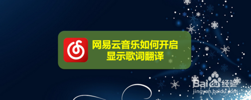 我来分享网易云音乐怎么打开显示歌词翻译。