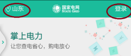 我来分享如何在网上查询电费以前缴费记录。