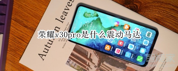 我来分享荣耀v30pro使用哪种震动马达。