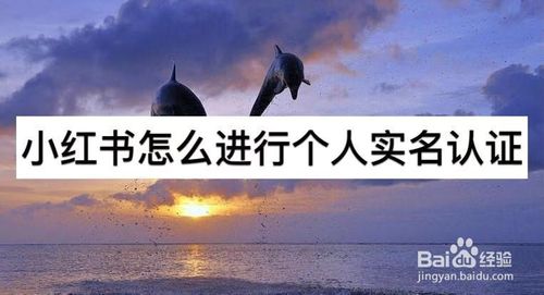 我来分享小红书在哪进行个人实名认证。