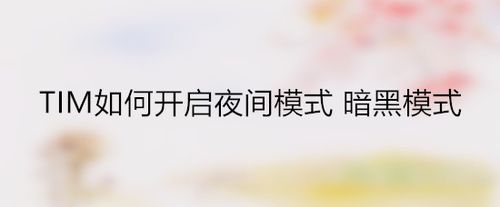 我来分享腾讯TIM在哪打开夜间模式。