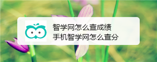 我来分享智学网怎么查学生成绩。
