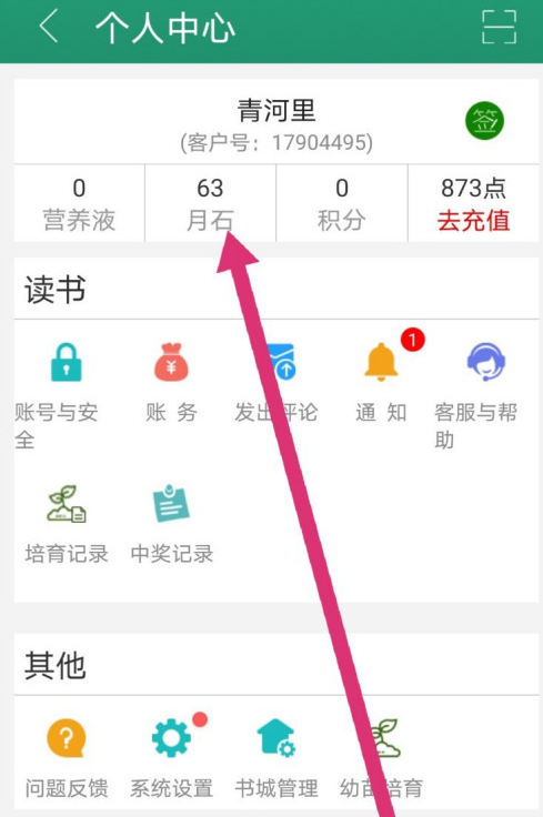 晋江小说阅读怎么查看月石收支记录