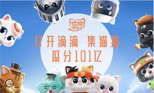 滴滴出行八只猫有哪些猫型