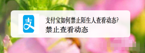 支付宝怎么禁止陌生人查看我的动态
