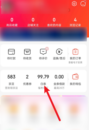 1604459351403040.png 我来分享京东怎么查看白条退款记录。