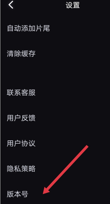 必剪版本号在哪看