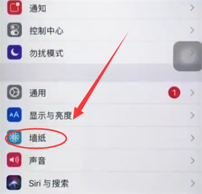 我来说说苹果6plus中设置墙纸的简单步骤。