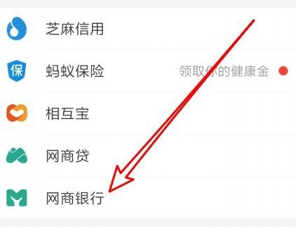我来说说支付宝查看网商银行的账单的方法步骤。