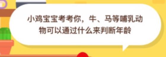 我来说说牛马等哺乳动物可以通过什么来判断年龄。