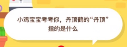 我来说说丹顶鹤的丹顶指的是什么。