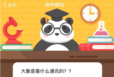 我来说说大象是靠什么通讯的。