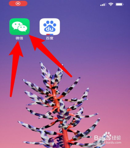 微信拍一拍如何用