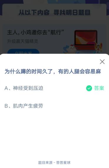 我来说说为什么蹲的时间久了，有的人腿会容易麻。
