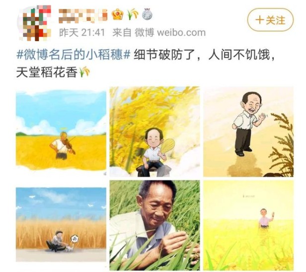 我来说说如何设置微博名后面的小稻穗。