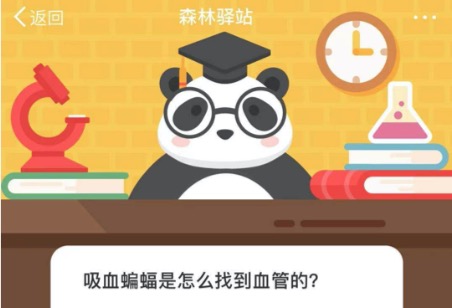 我来说说吸血蝙蝠是怎么找到血管的。
