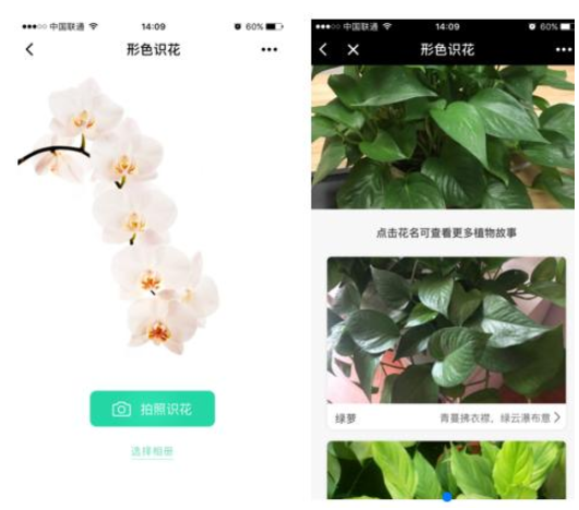 我来说说一波小程序,不比手机APP体验差