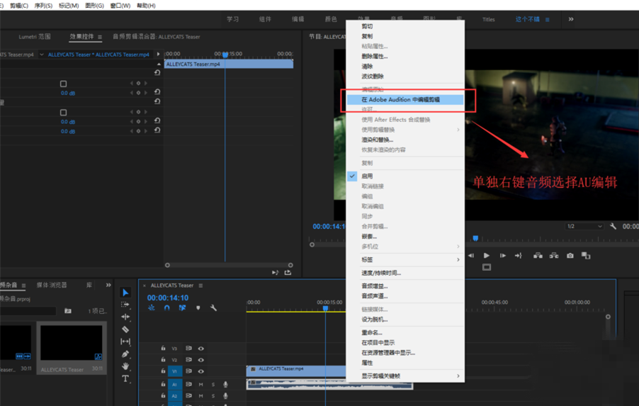 我来说说Premiere消除视频噪音的具体操作方法 我来说说的英文
