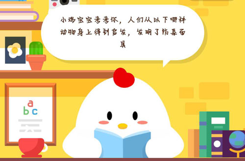 我来说说小鸡宝宝考考你,人们从以下哪种动物身上得到启发,发明了防毒面具。