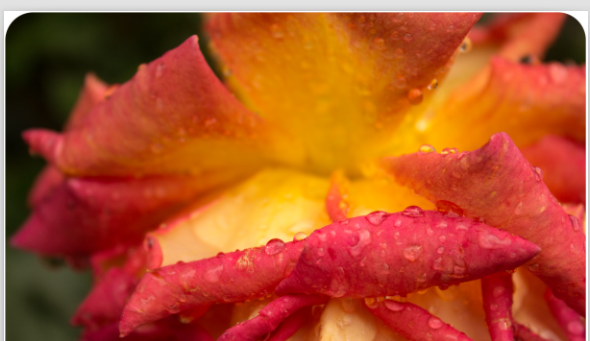 我来说说Lightroom保存图片的操作教程 我来说说立功奖章的喜悦