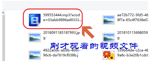 网络视频不支持下载怎么办。