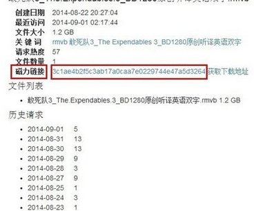 我来说说迅雷7中下载磁力连接的相关操作教程 迅雷下载的文件怎么我来说说