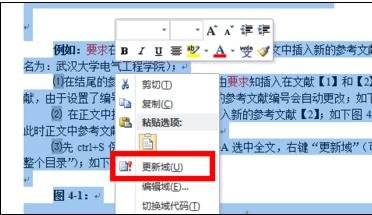 我来说说Word 2010加入引用文献的详细操作过程