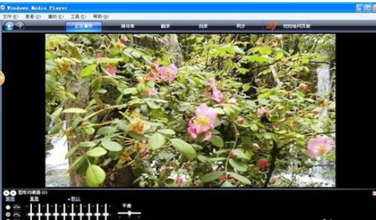 我来说说Windows Media Player导入多个视频的相关操作教程 我来说说欲是最高级的浪漫下一句