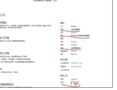 我来说说excel2013工作簿添加摘要信息的操作步骤 群成员填信息