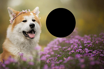 我来说说Photoshop局部放大图的操作步骤 我来说说的句子语录经典