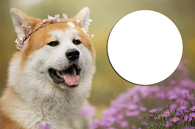 我来说说Photoshop局部放大图的操作步骤 我来说说的句子语录经典
