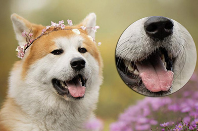 我来说说Photoshop局部放大图的操作步骤 我来说说的句子语录经典