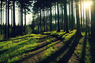 我来说说Photoshop将局部调亮的操作方法 我来说说通信属于什么卡