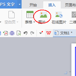 我来说说wps制作一款简约派简历的详细方法 wps会员我来说说