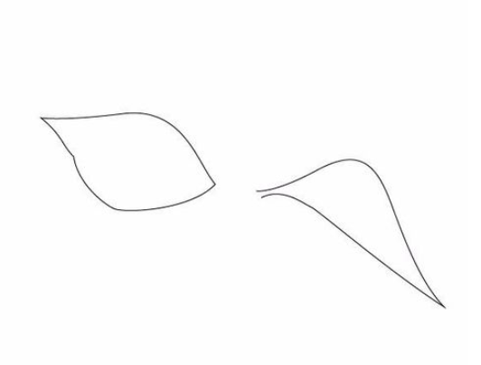 我来说说ai绘制樱桃的操作方法 绘制樱桃知识树