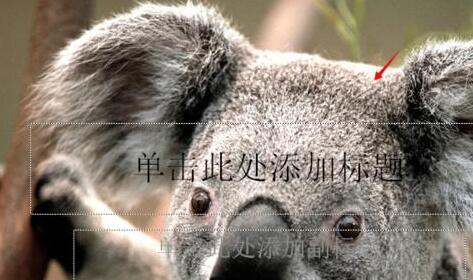 我来说说PPT设置背景及纹理的详细步骤