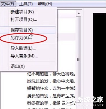 我来说说sayatoo如何制作字幕