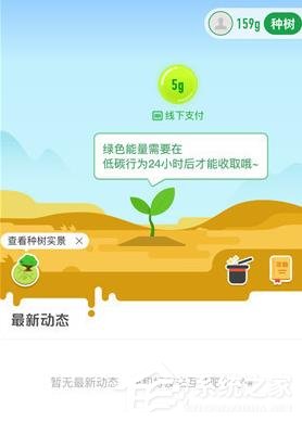 我来说说支付宝怎么在线上查看种树