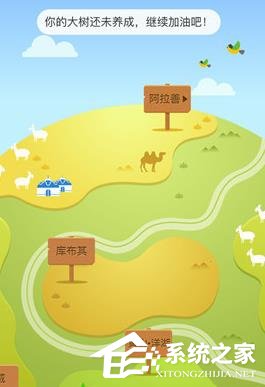 我来说说支付宝怎么在线上查看种树