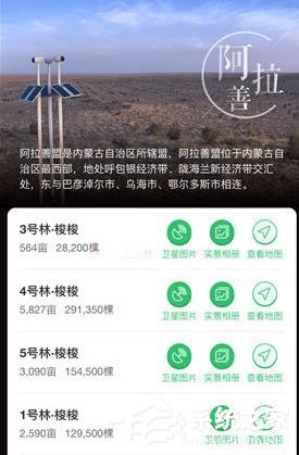 我来说说支付宝怎么在线上查看种树