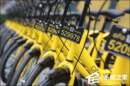 我来说说ofo共享单车芝麻信用免押金怎么开通