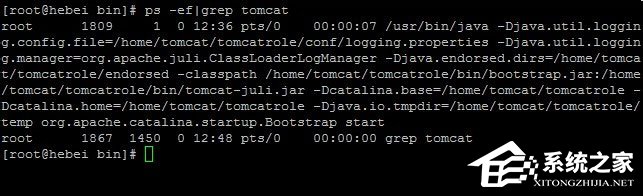 我来说说Linux系统如何查看和结束进程（linux系统如何查看版本）