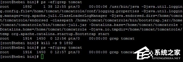 我来说说Linux系统如何查看和结束进程（linux系统如何查看版本）