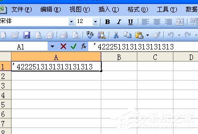 我来说说如何在Excel中输入身份证号（excel表格怎样输入身份证）