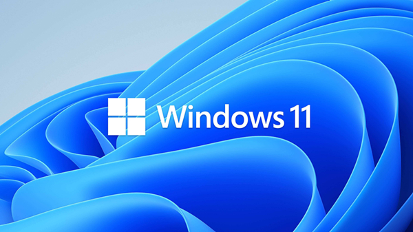 我来说说Win11的D盘无法显示怎么办（win11无法显示任务栏）