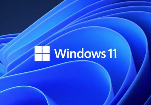 我来说说Win11的更新文件在哪里（Win11系统更新文件在哪）