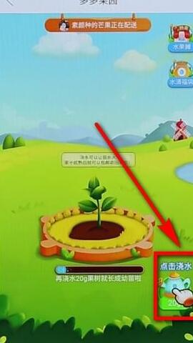 我来说说拼多多里多多果园详细玩法讲解