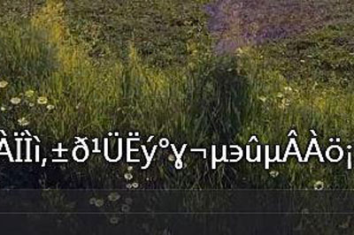 我来说说完美解码字幕导入乱码怎么办