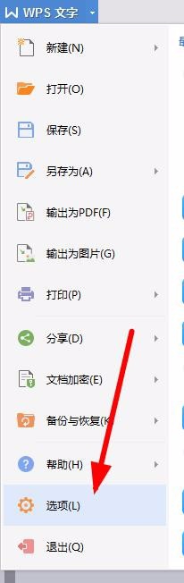 我来说说WPS设置禁止标点符号在行首显示具体操作流程