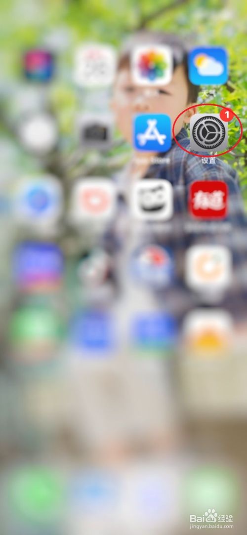 我来说说iphoneXR怎么开启双卡上网功能。
